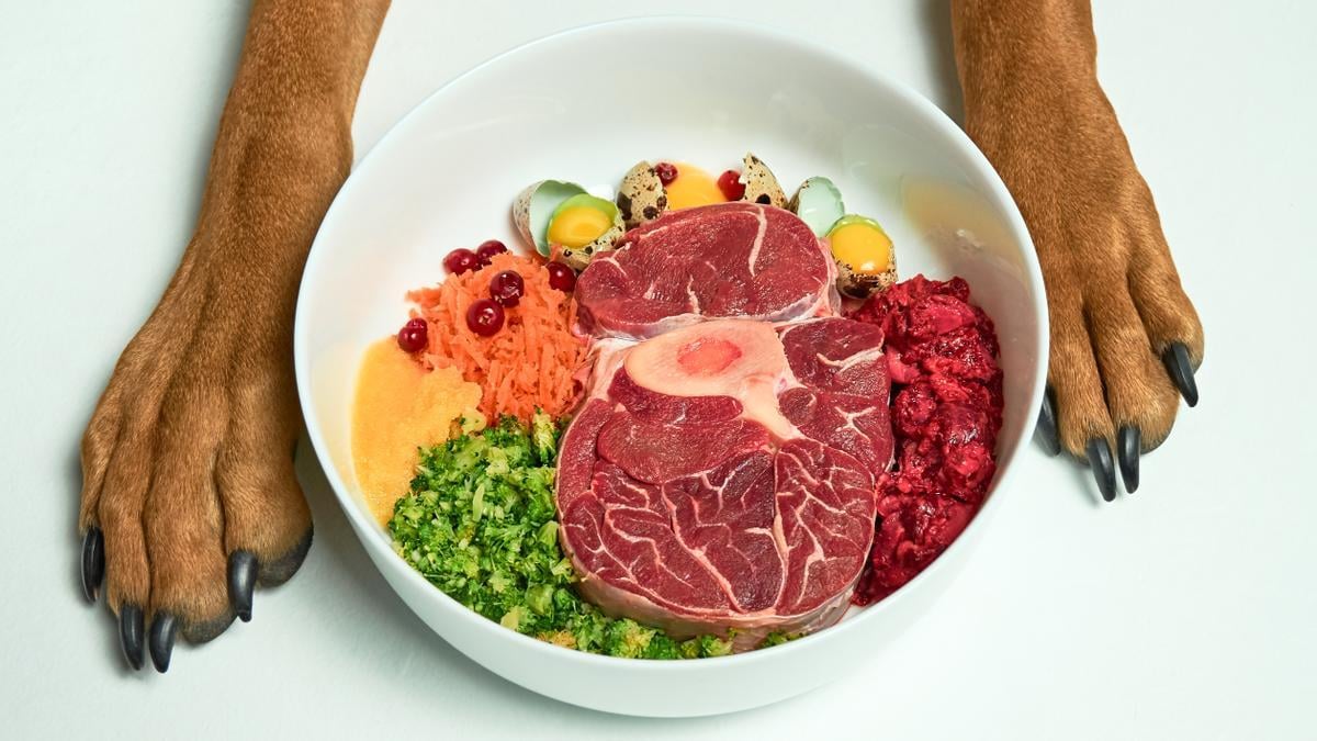 Dieta BARF para perros: beneficios, riesgos y costos reales